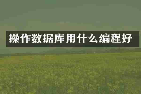 操作数据库用什么编程好