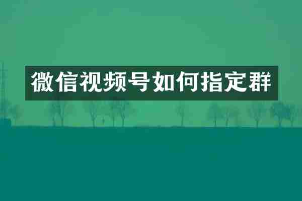 微信视频号如何指定群