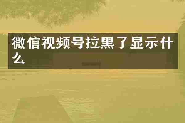 微信视频号拉黑了显示什么