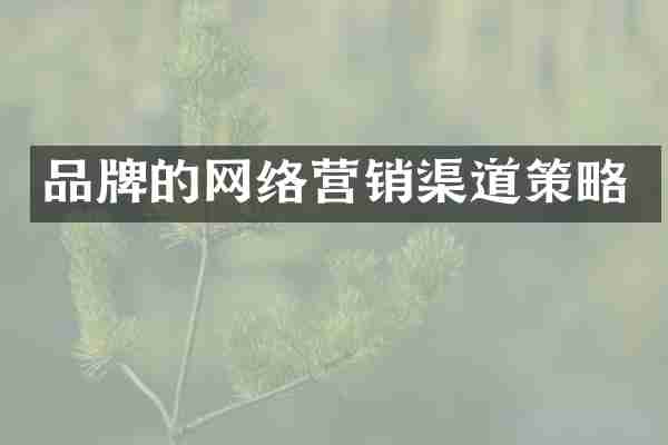 品牌的网络营销渠道策略