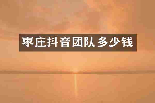 枣庄抖音团队多少钱