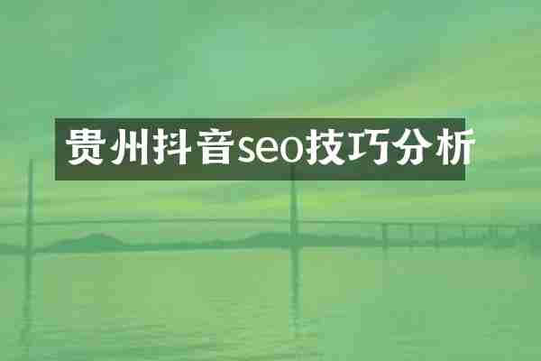 贵州抖音seo技巧分析