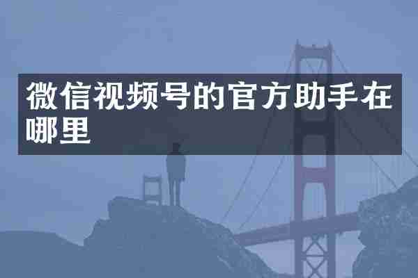 微信视频号的官方助手在哪里