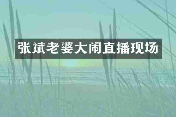 张斌老婆大闹直播现场