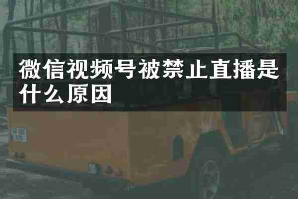 微信视频号被禁止直播是什么原因