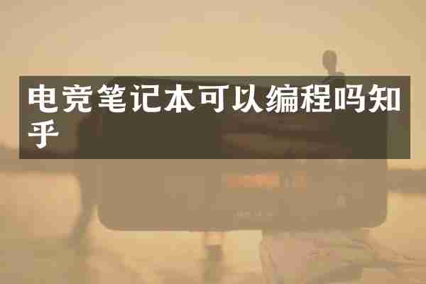电竞笔记本可以编程吗知乎