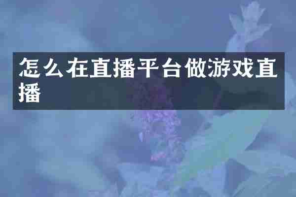 怎么在直播平台做游戏直播