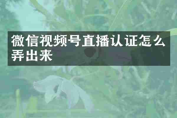 微信视频号直播认证怎么弄出来