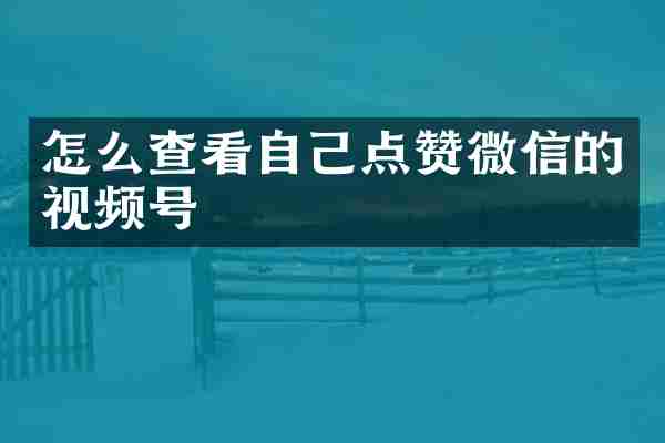 怎么查看自己点赞微信的视频号