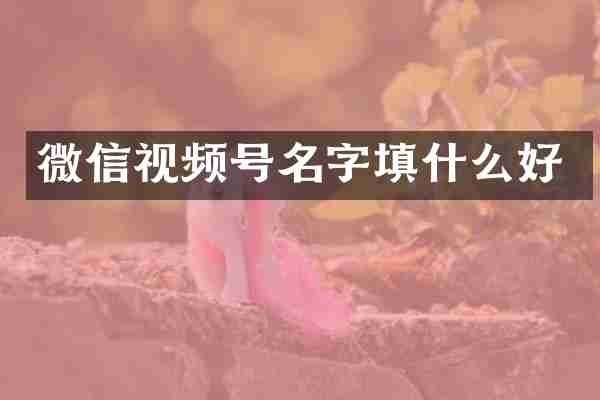 微信视频号名字填什么好