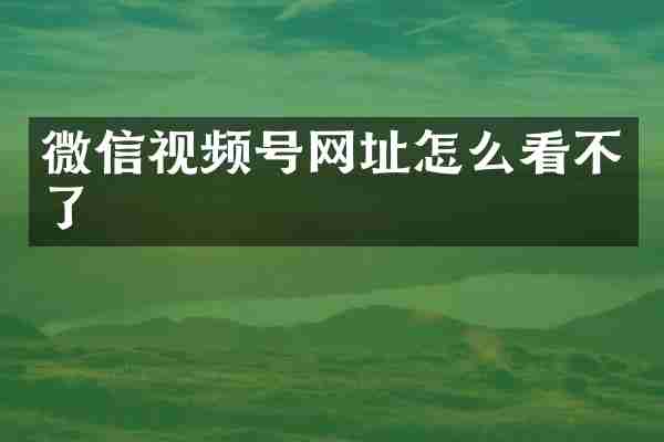 微信视频号网址怎么看不了