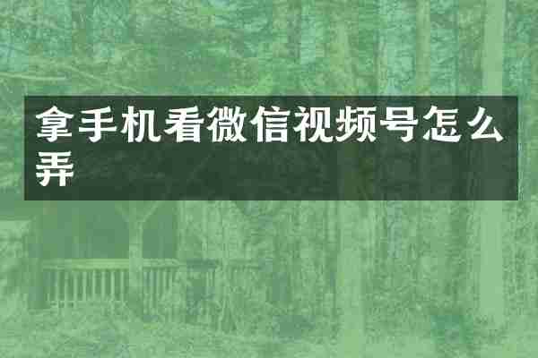 拿手机看微信视频号怎么弄
