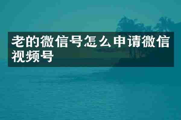 老的微信号怎么申请微信视频号