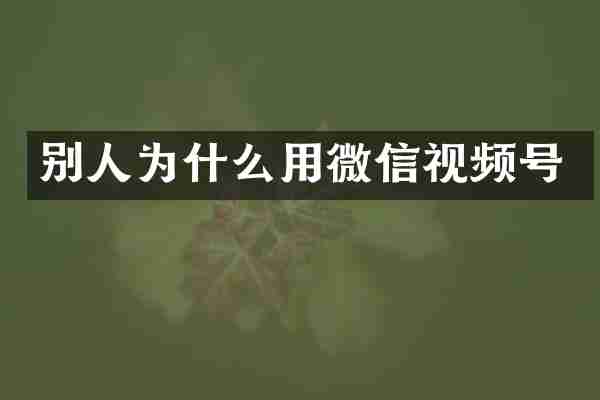 别人为什么用微信视频号