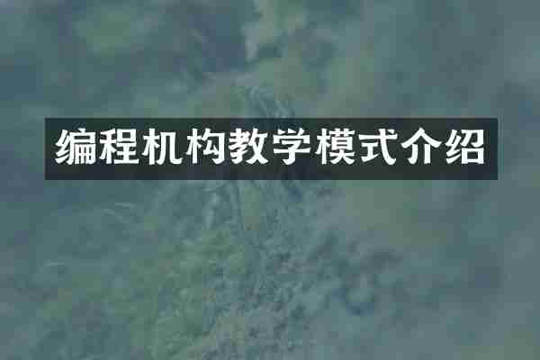编程机构教学模式介绍