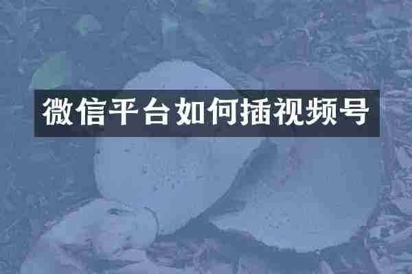 微信平台如何插视频号