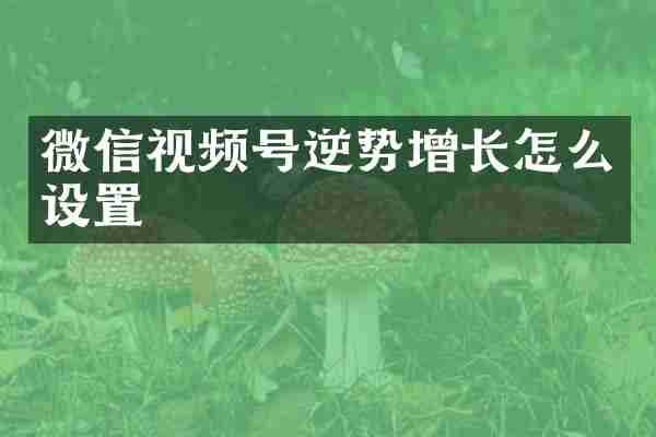 微信视频号逆势增长怎么设置