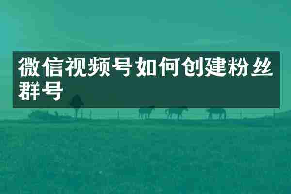 微信视频号如何创建粉丝群号