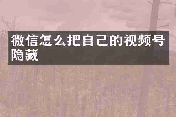 微信怎么把自己的视频号隐藏