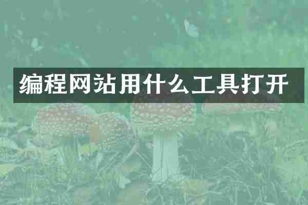 编程网站用什么工具打开