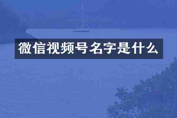 微信视频号名字是什么
