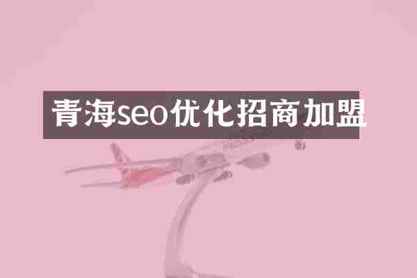 青海seo优化招商加盟
