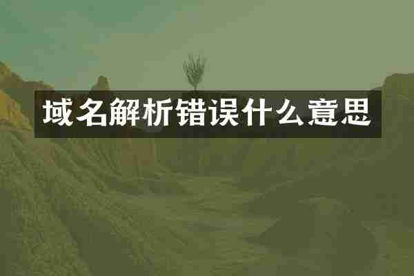 域名解析错误什么意思