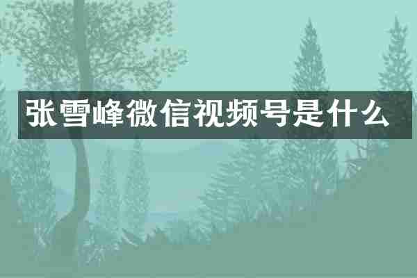 张雪峰微信视频号是什么