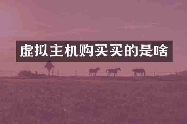 虚拟主机购买买的是啥