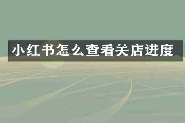 小红书怎么查看关店进度