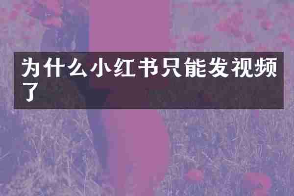 为什么小红书只能发视频了