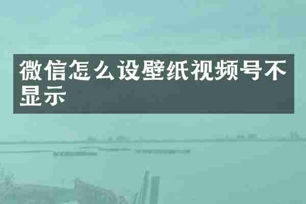 微信怎么设壁纸视频号不显示