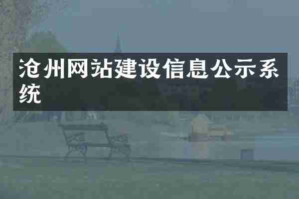 沧州网站建设信息公示系统