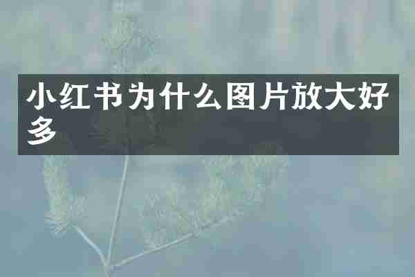 小红书为什么图片放大好多