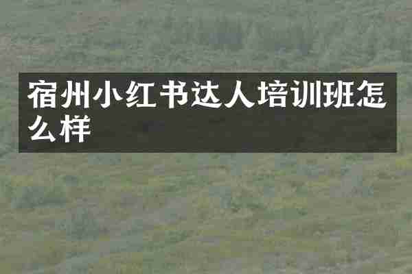 宿州小红书达人培训班怎么样
