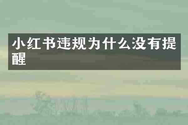 小红书违规为什么没有提醒