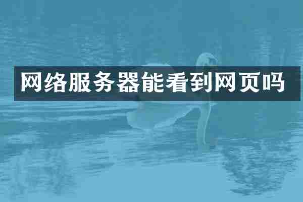 网络服务器能看到网页吗