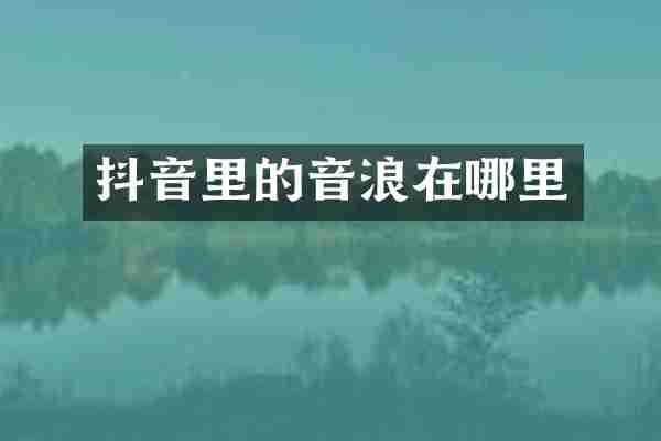 抖音里的音浪在哪里
