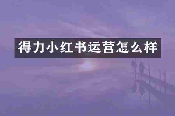得力小红书运营怎么样