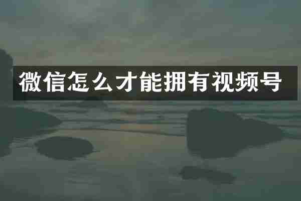 微信怎么才能拥有视频号