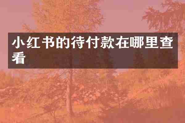 小红书的待付款在哪里查看