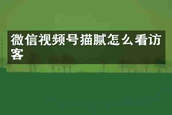 微信视频号猫腻怎么看访客