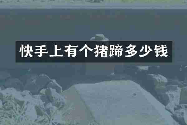 快手上有个猪蹄多少钱