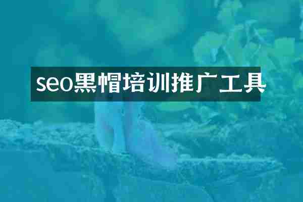 seo黑帽培训推广工具