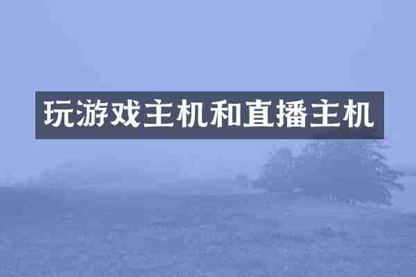 玩游戏主机和直播主机