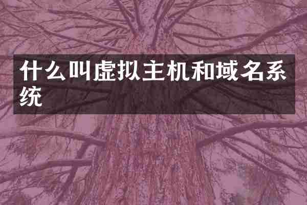 什么叫虚拟主机和域名系统