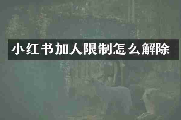 小红书加人限制怎么解除