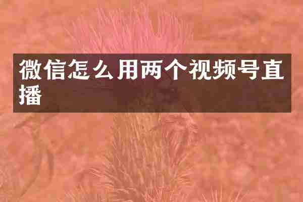 微信怎么用两个视频号直播