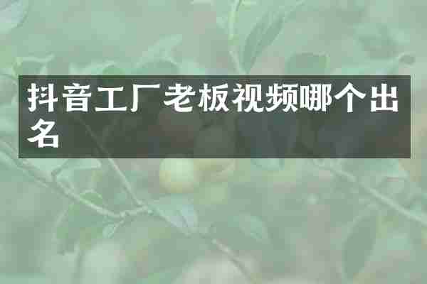 抖音工厂老板视频哪个出名