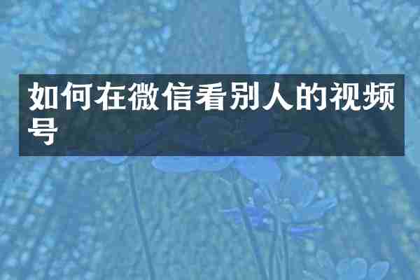 如何在微信看别人的视频号